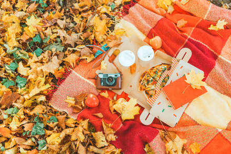 different stuff on the blanket old retro camera apple book pizza. copy space. top viewの写真素材