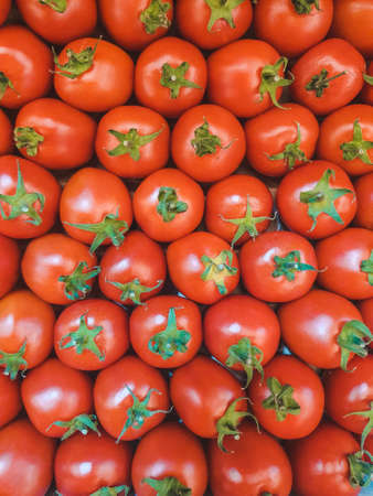 overhead top view of tomatoes patternの写真素材