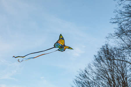 butterfly kite in sky copy spaceの写真素材