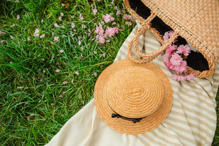 picnic blanket with straw hat and bag on green grass covered with pink sakura flowers copy spaceの写真素材