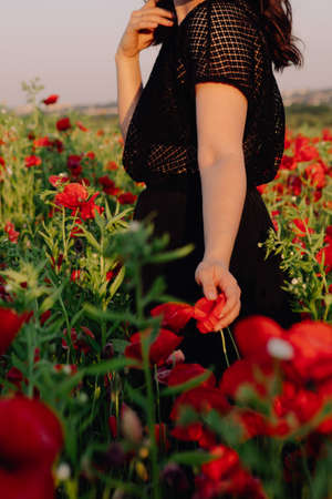woman at the poppies flowers field on sunset copy spaceの写真素材