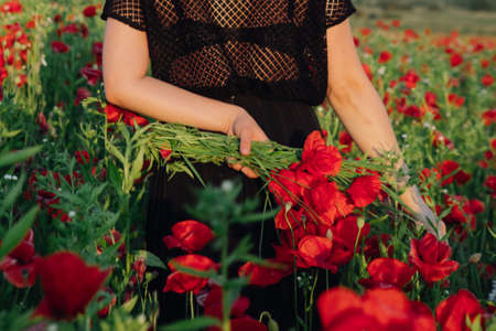 woman at the poppies flowers field on sunset copy spaceの写真素材