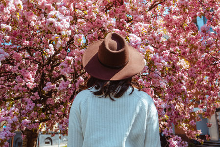 woman from the back looking on the blooming sakura tree spring is comingの写真素材