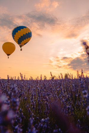 air balloon with basket above lavender field copy spaceの写真素材