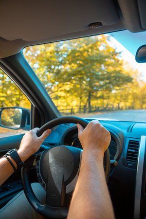 driving car autumn forest on road side navigation on the phone