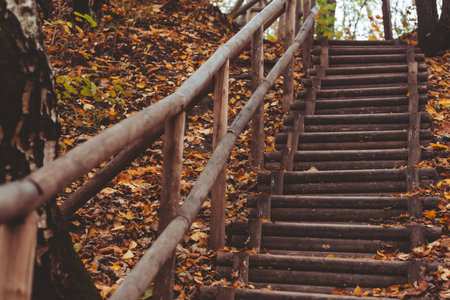 stairs in autumn parkの写真素材