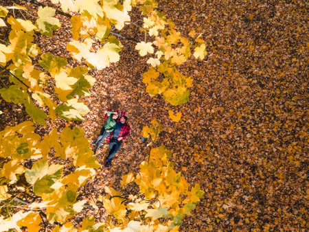 overhead view of woman with man laying down on the ground covered with autumn leaves
