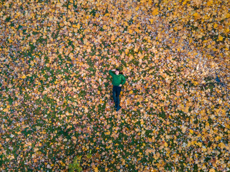 overhead view smiling woman laying on the ground covered with yellow maple leavesの写真素材