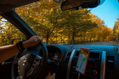 driving car autumn forest on road side navigation on the phoneの写真素材