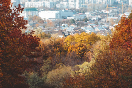 autumn is coming, yellow trees park city on backgroundの写真素材