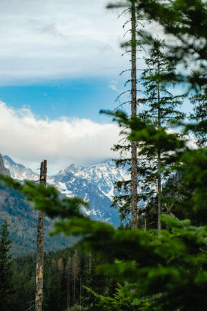 View of the Tatras Mountainsの写真素材