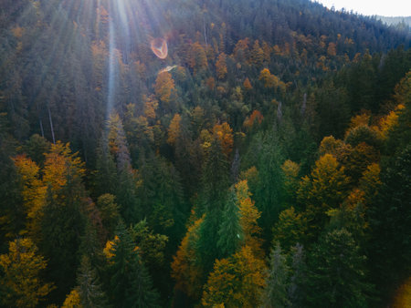 aerial view of autumn carpathian mountainsの写真素材