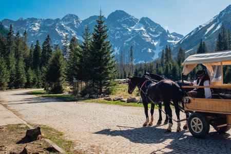 Horse-drawn carriage on a road in the mountainsの写真素材