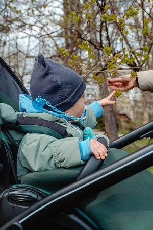 child in a stroller reaching for spring tree in the park