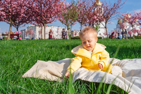 A serene moment captured as baby sits under blossoming sakura treesの写真素材