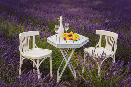 romantic date on lavender fieldの写真素材