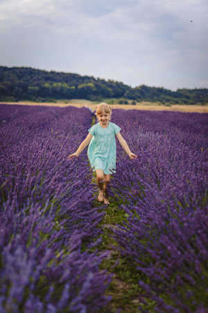a girl runs across a lavender fieldの写真素材