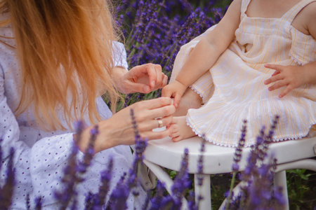 A mother and toddler daughter hands close up in lavender fieldの写真素材