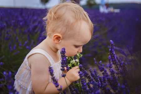 Her favorite part of the lavender flowers was smelling them and enjoying their smellの写真素材