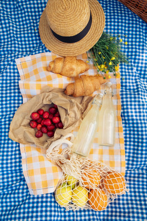 A small picnic with croissants, strawberries, and lemonade on a blue checkered blanketの写真素材