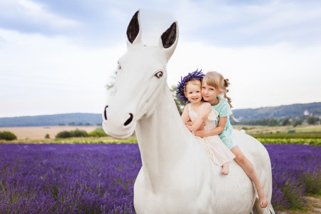 An image of two sisters sitting on a white decorative horse in a lavender field is shown in the pictureの写真素材