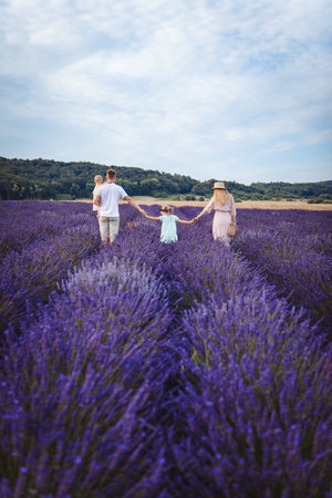 a family walks on a lavender field. father and mother with two daughtersの写真素材