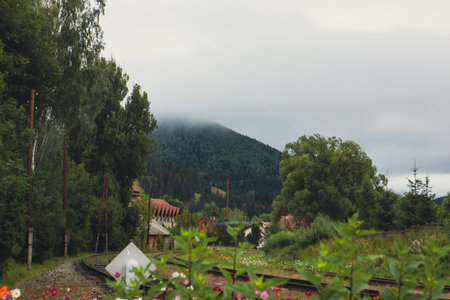 view of little railway station in carpathian mountainsの写真素材
