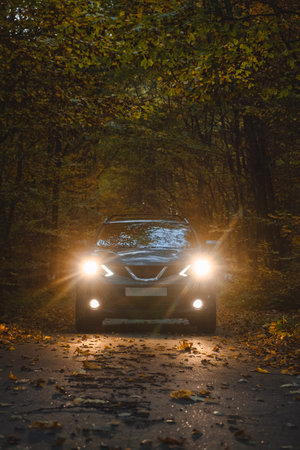 The car in the autumn forest with the headlights onの写真素材