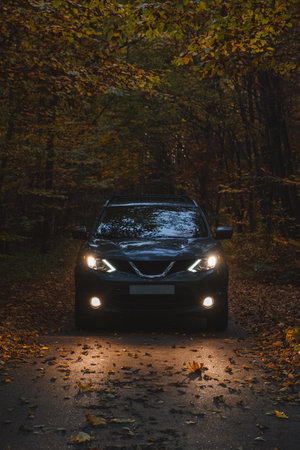 Parked car with headlights turned on in the autumn forestの写真素材