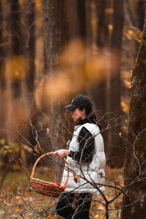 woman with basket looking for mushrooms in autumn forestの写真素材