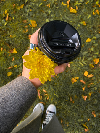 woman hand holding yellow flower and coffee mug grass with autumn leaves on backgroundの写真素材