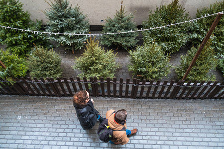 christmas tree market yardの写真素材