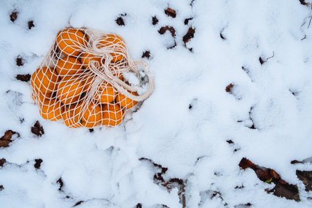 There are tangerines in a wicker bag lying on the snowの写真素材