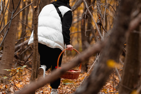 woman in autumn forest looking for mushrooms