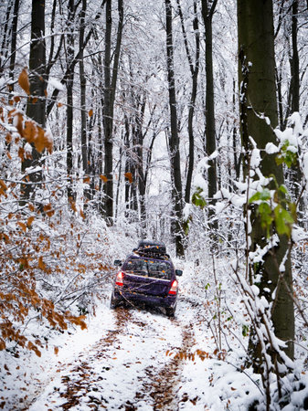 off road trip by snowed forestの写真素材