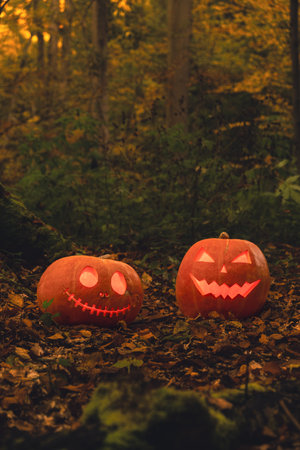 two glowing pumpkin heads on the ground in forestの写真素材