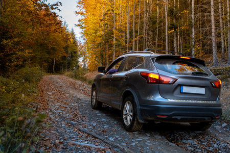 SUV on a Scenic Autumn Gravel Road