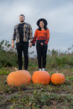 Couple holding hands in a field with pumpkinsの写真素材