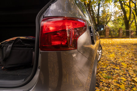 Autumn Scene with Gray Car and Leavesの写真素材