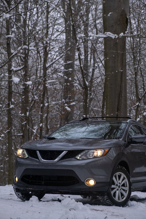Gray SUV Parked on Snowy Forest Pathの写真素材
