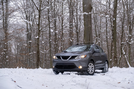 Gray SUV Parked on Snowy Forest Pathの写真素材