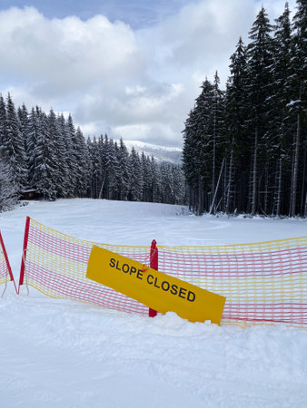 Closed Ski Slope in Snowy Forestの写真素材