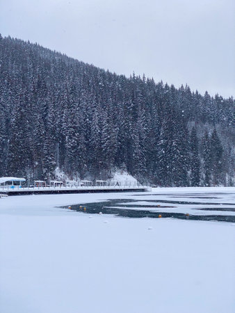 Snow-Covered Lake and Pine Forest in Winterの写真素材