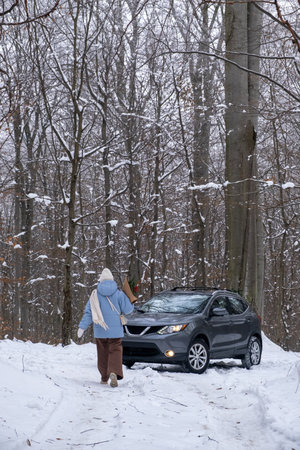 Person with Flowers in Snowy Forest SUV on backgroundの写真素材