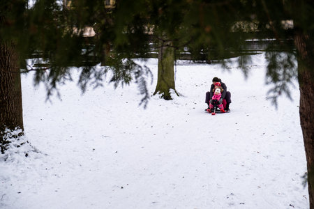 Parent and Child Sledding in Snowy Forest