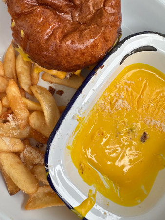 Cheeseburger and Fries with Cheese Sauceの写真素材