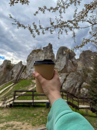 Coffee in Nature: A Scenic Mountain Viewの写真素材