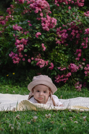 Child Lying on Blanket Surrounded by Pink Flowersの写真素材