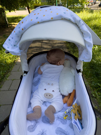 Baby in Stroller with Soft Toys in Natureの写真素材