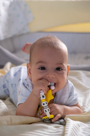 Happy Baby Playing with Toys on a Blanket